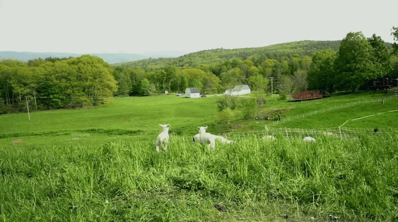 Coexistence Strategies for Farming in the Northeast U.S.